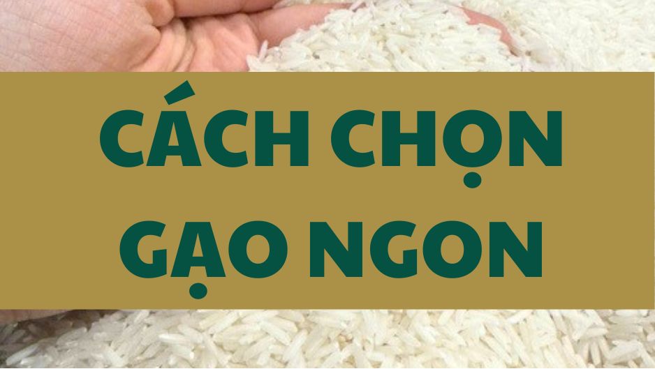 cách chọn gạo ngon