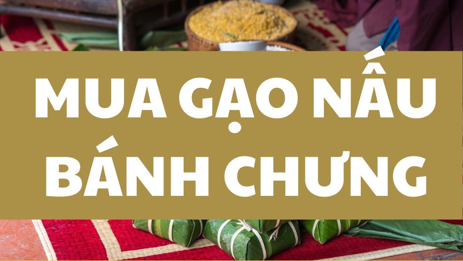 Cách chọn gạo nếp giúp bánh trưng ngon hơn