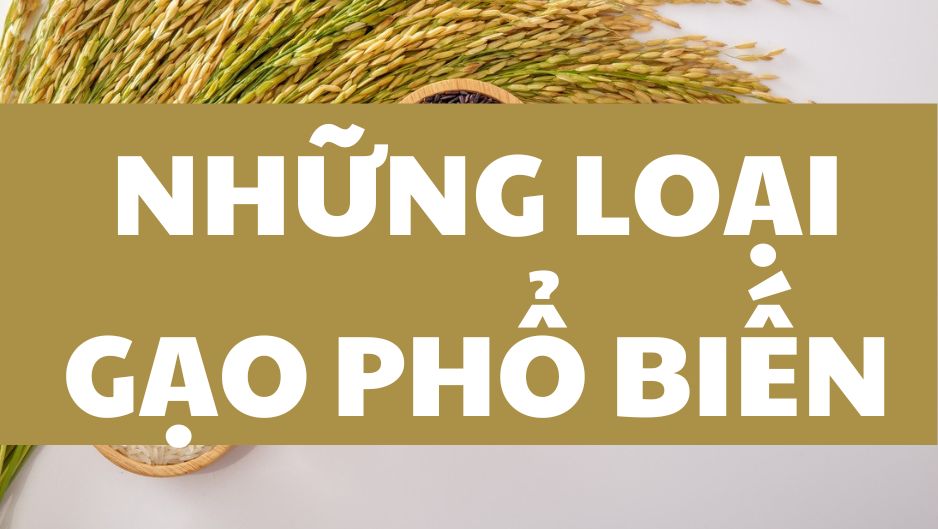 Top 5 Loại Gạo Phổ Biến Tại Việt Nam